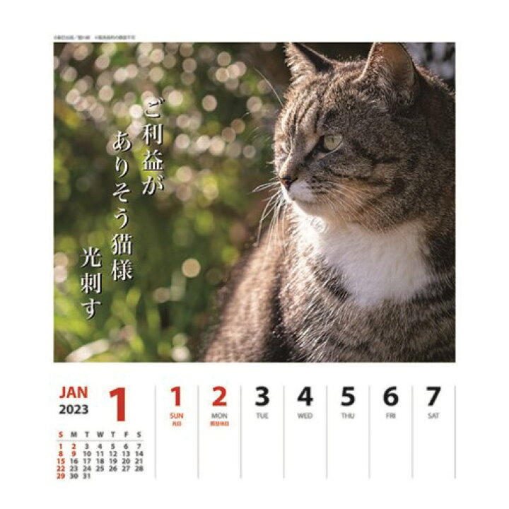 64 Off 23calendar 書き込み 猫川柳 スケジュール Apj ねこ 動物写真 卓上カレンダー23年