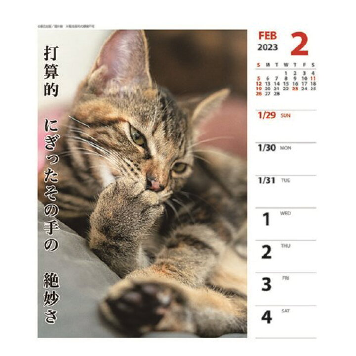 64 Off 23calendar 書き込み 猫川柳 スケジュール Apj ねこ 動物写真 卓上カレンダー23年
