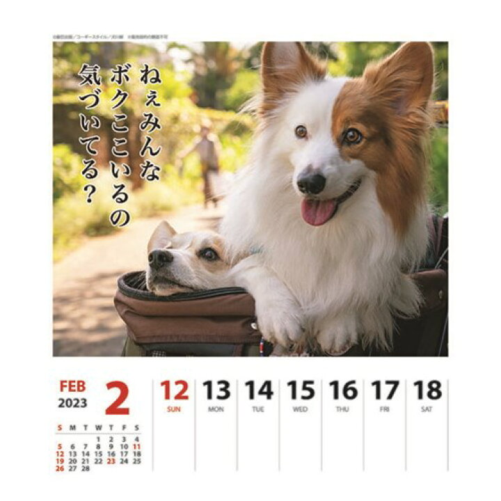 楽天市場】壁掛け&卓上カレンダー2023年 2023Calendar コーギー犬川柳 週めくり スケジュール いぬ APJ 動物写真 書き込み インテリア 令和5年暦 予約 メール便可 : 雑貨&アートの通販店ベルコモン 楽天市場】壁掛け&卓上カレンダー2023年 2023Calendar コーギー犬川柳 週めくり スケジュール いぬ APJ 動物写真 書き込み インテリア 令和5年暦 予約 メール便可 : 雑貨&アートの通販店ベルコモン
