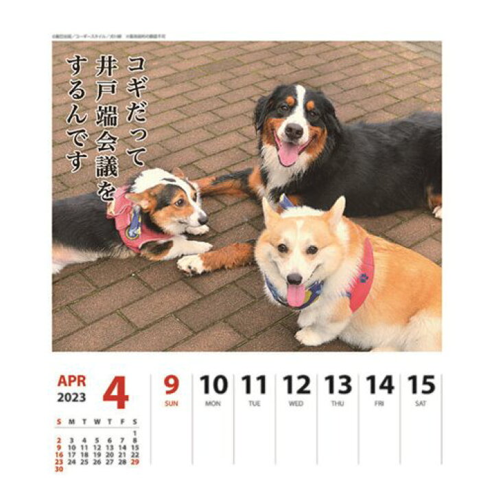 楽天市場】壁掛け&卓上カレンダー2023年 2023Calendar コーギー犬川柳 週めくり スケジュール いぬ APJ 動物写真 書き込み インテリア 令和5年暦 予約 メール便可 : 雑貨&アートの通販店ベルコモン 楽天市場】壁掛け&卓上カレンダー2023年 2023Calendar コーギー犬川柳 週めくり スケジュール いぬ APJ 動物写真 書き込み インテリア 令和5年暦 予約 メール便可 : 雑貨&アートの通販店ベルコモン
