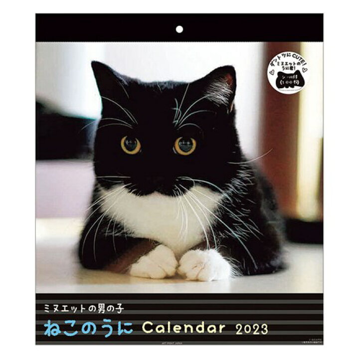 壁掛けカレンダー2023年 2023Calendar ミヌエットのうに君 30角 スケジュール ねこ APJ 動物写真 書き込み インテリア 令和5年暦 予約 : 雑貨&アートの通販店ベルコモン 壁掛けカレンダー2023年 2023Calendar ミヌエットのうに君 30角 スケジュール ねこ APJ 動物写真 書き込み インテリア 令和5年暦 予約 : 雑貨&アートの通販店ベルコモン
