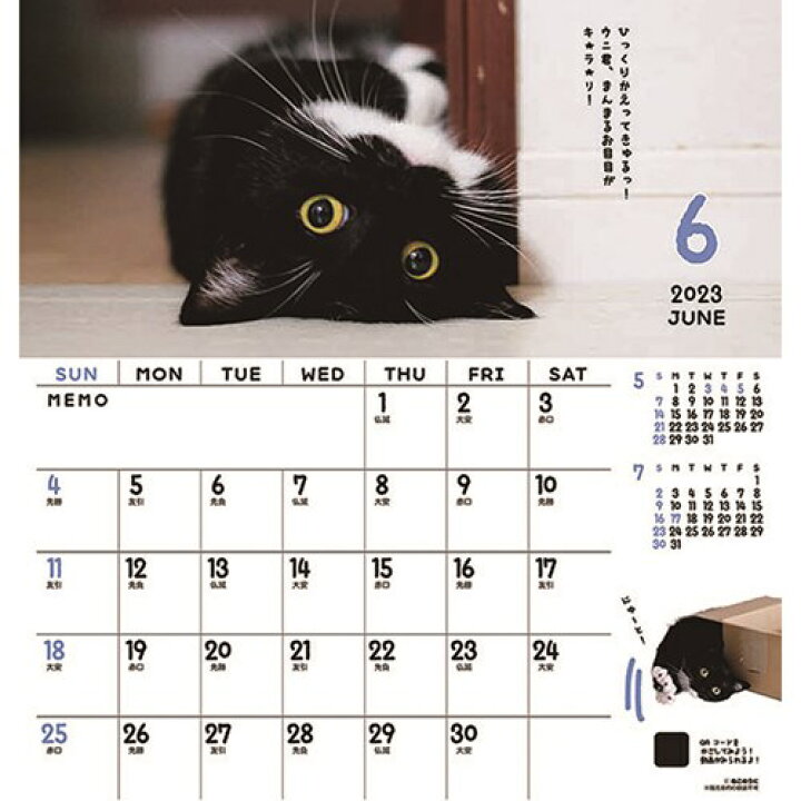 壁掛けカレンダー2023年 2023Calendar ミヌエットのうに君 30角 スケジュール ねこ APJ 動物写真 書き込み インテリア 令和5年暦 予約 : 雑貨&アートの通販店ベルコモン 壁掛けカレンダー2023年 2023Calendar ミヌエットのうに君 30角 スケジュール ねこ APJ 動物写真 書き込み インテリア 令和5年暦 予約 : 雑貨&アートの通販店ベルコモン