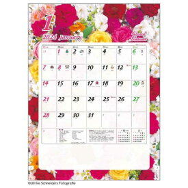 壁掛けカレンダー2024年 2024 Calendar フローラル シャワー フォト トーダン 写真 花 実用 書き込み 令和6年暦