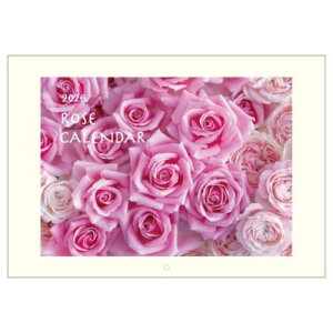 Ǌ|J_[2026N 2026 Calendar [YJ_[ XPW[ ANeBuR[|[V Ԏʐ^  CeA ߘa8N [։