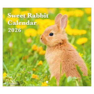 Ǌ|J_[2026N 2026 Calendar Sweet Rabbit XPW[  ANeBuR[|[V ʐ^  CeA ߘa8N