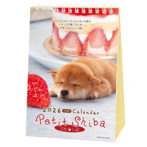 J_[2026N 2026 Calendar Ղ XPW[  ANeBuR[|[V ʐ^  CeA ߘa8N [։