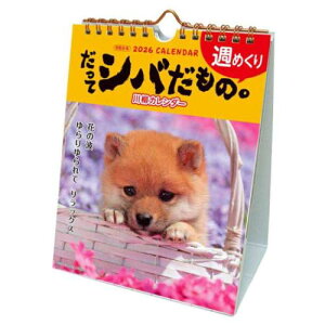 J_[2026N 2026 Calendar ăVo T߂ XPW[  ANeBuR[|[V ʐ^  CeA ߘa8N [։