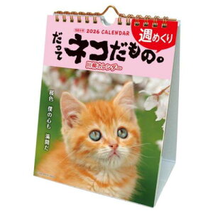 J_[2026N 2026 Calendar ălR T߂ XPW[ ˂ ANeBuR[|[V ʐ^  CeA ߘa8N [։