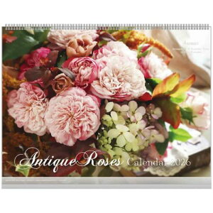 Ǌ|J_[2026N 2026Calendar AeB[N[Y XPW[ t[ APJ Ԏʐ^  CeA ߘa8N