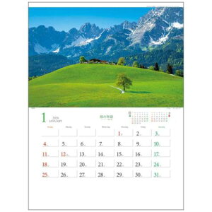Ǌ|J_[2026N 2026 Calendar ΂̕ [bpi tHg g[_ ʐ^ Ei CeA ߘa8N