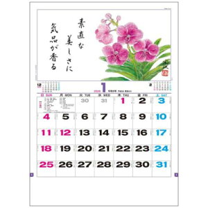 Ǌ|J_[2026N 2026 Calendar Ԃ XPW[ g[_  fUC p  ߘa8N