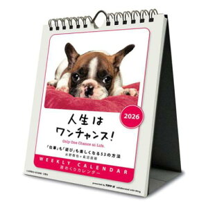 J_[2026N 2026 Calendar l̓`XI  Ǌ|  gCGbNX  ʐ^ ߘa8N [։