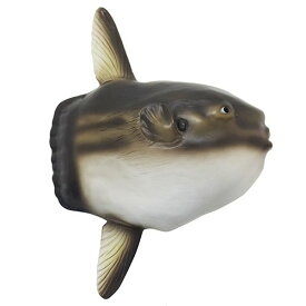ソフビフィギア フィギュア マンボウ フェバリット マリンライフ 遊べる 魚