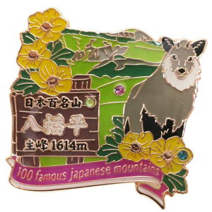 1�i �s���Y �s���o�b�W ���{�S���R ������ �G�C�R�[ �R���N�V�����P�[�X���� �g���b�L���O �o�R ���[���։� �x���R����