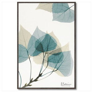 LoX A[g X RAY [t1 STCY t[ A[g  tHg CeAObY i