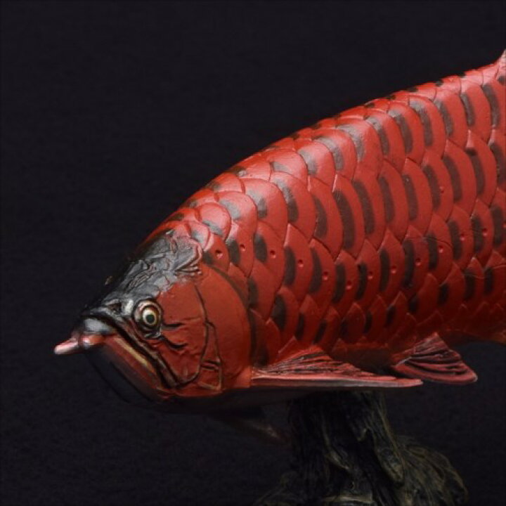 楽天市場 ソフトモデルフィギュア フィギュア アジアアロワナ 紅龍 古代魚 フェバリット 古生物 インテリア 雑貨 玩具 雑貨 アートの通販店ベルコモン
