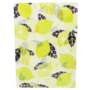 Tomoko Hayashi A4 VO NAt@C t@C {  N[Ys K[[ CXg  v`Mtg [։ xR