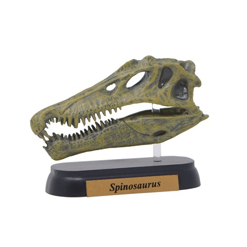 ダイナソーミニモデル フィギュア スピノサウルス スカルシリーズ 恐竜 フェバリット 雑貨 ギフト雑貨通販 ギフト チープ 最も完璧な 頭骨フィギュア インテリア