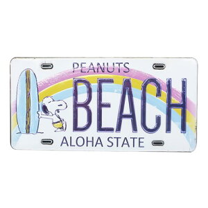 \Ă͂ fR[V XebJ[ EH[ XebJ[ Xk[s[ BEACH s[ibc S&CR[|[V CeA G z[ fRV[