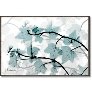 X RAY LoXA[g ACr[(STCY) Ao[g N[cB[ t[A[g 30.5x20.5cm zt _ CeAObY i