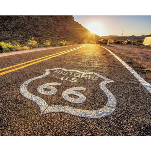 Petit Canvas Art ʐ^ A[g v` LoXA[g R66 H t[X Mtg CeA i xR