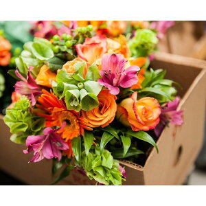 Petit Canvas Art ʐ^ A[g v` LoXA[g t[{bNX H t[X Mtg CeA i xR