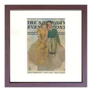 Norman Rockwell �A�[�g�t���[�� �m�[�}�� ���b�N�E�F�� ZNR-52755 ���H�� �M�t�g �z�t���C���e���A ���i