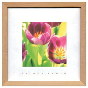 French Photography �ʐ^ �A�[�g �t�����`�t�H�g�O���t�B�[ Tulips ZFP-51895 �z�t���C���e���A ���i
