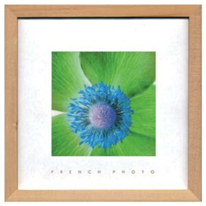 French Photography �ʐ^ �A�[�g �t�����`�t�H�g�O���t�B�[ Anemone invert ZFP-51898 �z�t���C���e���A ���i