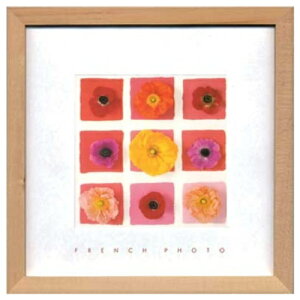 French Photography �ʐ^ �A�[�g �t�����`�t�H�g�O���t�B�[ Nine Flower on nine squares ���H�� ZFP-51915 �z�t���C���e���A ���i