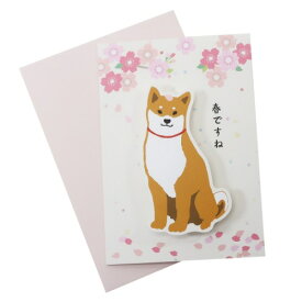 楽天市場 グリーティングカード 犬の通販