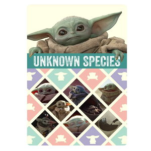 fXNpbh ~ X^[EH[Y }_A THE CHILD STAR WARS CbN RNVG [։