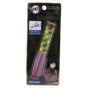 Sł̐n RpNg ͂ y`E XCh VU[ NWv J~IWp Vw Aj[։ xR