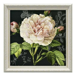 �y�|�C���g10�{ & �N�[�|���I�zDevon Ross �z�t�� �|�X�^�[ �f�{�����X ���X�g���[�V���� ���[�Y1 ���[�p���[ DR-06003 �M�t�g �C���e���A ���i