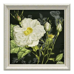 Devon Ross �z�t�� �|�X�^�[ �f�{�����X ���X�g���[�V���� ���[�Y2 ���[�p���[ DR-06004 �M�t�g �C���e���A ���i