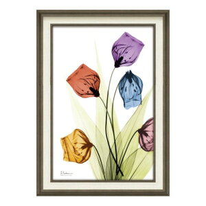 X RAY LoXA[g t[A[g Ao[gN[cB[ T_[\jA MTCY [p[ XR-12014 zt CeA i