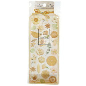 tA[ V[ V[g uE N[A fRV[ ̎q w w Z [։