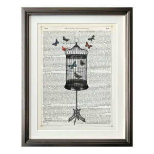 Marion McConaghie �A�[�g�t���[�� �}���I�� �}�R�l�M�[ Bird Cage��Butterflies IMM-62129 �Ǌ|�� �z�t�� �C���e���A ���i