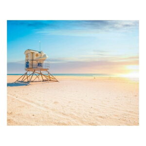 Petit Canvas Art �L�����o�X�A�[�g �n���e�B���g���r�[�` 500x400mm ZPT-62072 �M�t�g �Ǌ|�� �C���e���A ���i