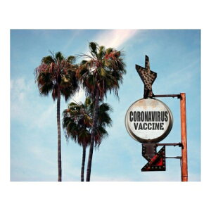 Petit Canvas Art �L�����o�X�A�[�g CORONAVIRUS VACCINE 500x400mm ZPT-62073 �M�t�g �Ǌ|�� �C���e���A ���i