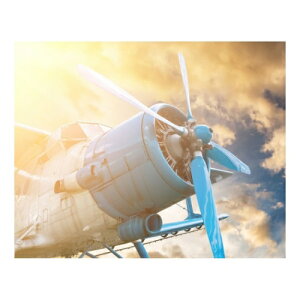Petit Canvas Art �L�����o�X�A�[�g �[�Ă��Ɣ�s�@ 500x400mm ZPT-62077 �M�t�g �Ǌ|�� �C���e���A ���i