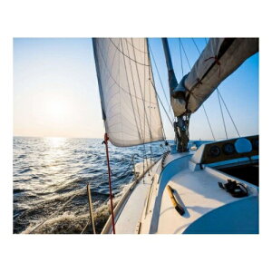 Petit Canvas Art �L�����o�X�A�[�g �o�q���锒�����b�g 500x400mm ZPT-62078 �M�t�g �Ǌ|�� �C���e���A ���i