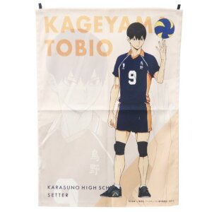 タペストリー アニメ その他のインテリアファブリックの人気商品 通販 価格比較 価格 Com