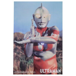 _CJbgrj[XebJ[ rbOV[ Eg}V[Y Eg}ʎʐ^1 Bq[[ X[vlbg fRV[ ϐ [։