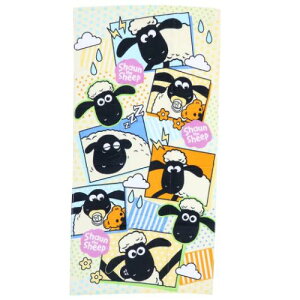 vgRpNgoX^I oX^I Ђ̃V[ t[NV[ у^I C^I