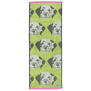 WK[hXLj[^I tFCX^I _ts[X uACY _VA   킢 [։