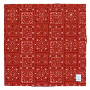 Ђo_i ėpЂnJ` fR ڐG⊴ MǑ΍ AEghAG [։