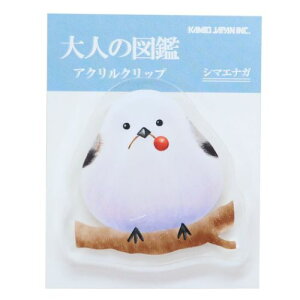 ANNbv Nbv l̐} V}GiK J~IWp Vw 땶 [։