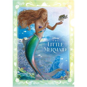 zONAt@C A4 VO NAtH_[ g}[Ch  fBYj[vZX CbN RNV [։