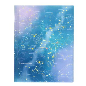 A4NAubNt@C |Pbgt@C STUDY HOLIC Vw Green Flash Vw G